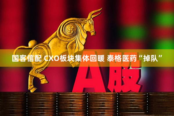 国客信配 CXO板块集体回暖 泰格医药“掉队”