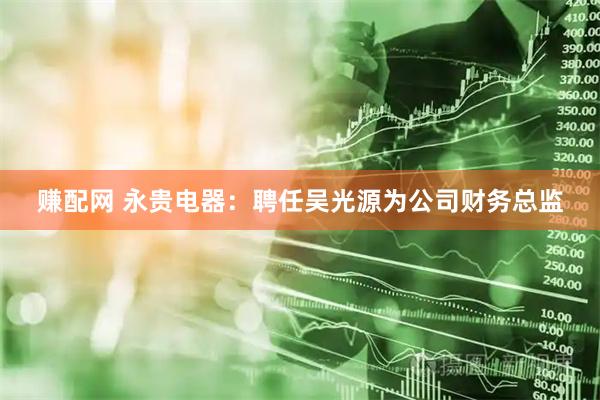 赚配网 永贵电器：聘任吴光源为公司财务总监