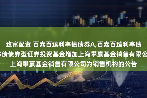 致富配资 百嘉百臻利率债债券A,百嘉百臻利率债债券C: 百嘉百臻利率债债券型证券投资基金增加上海攀赢基金销售有限公司为销售机构的公告