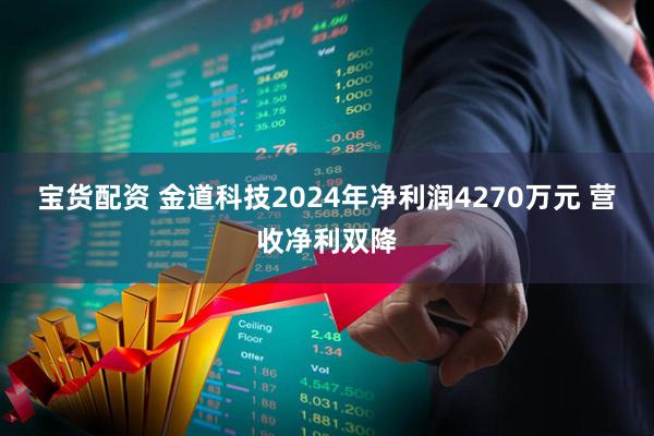 宝货配资 金道科技2024年净利润4270万元 营收净利双降