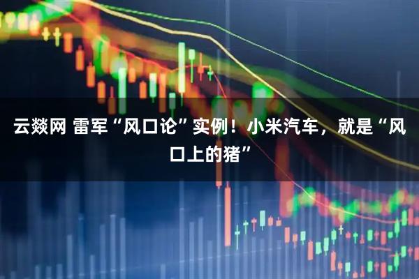 云燚网 雷军“风口论”实例！小米汽车，就是“风口上的猪”