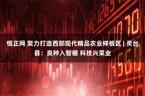 恒正网 聚力打造西部现代精品农业样板区 | 灵台县:良种入智棚 科技兴菜业