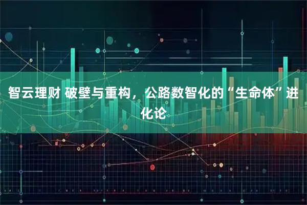 智云理财 破壁与重构,公路数智化的“生命体”进化论